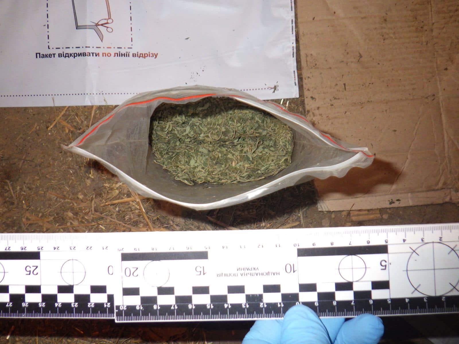 Мукачівщини затримала підозрюваного у збуті наркотиків: у фігуранта вилучили майже 2 кг «товару» 0