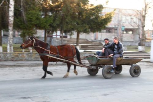  У Берегові вирішили обмежити рух гужового транспорту: відомо перелік вулиць 0