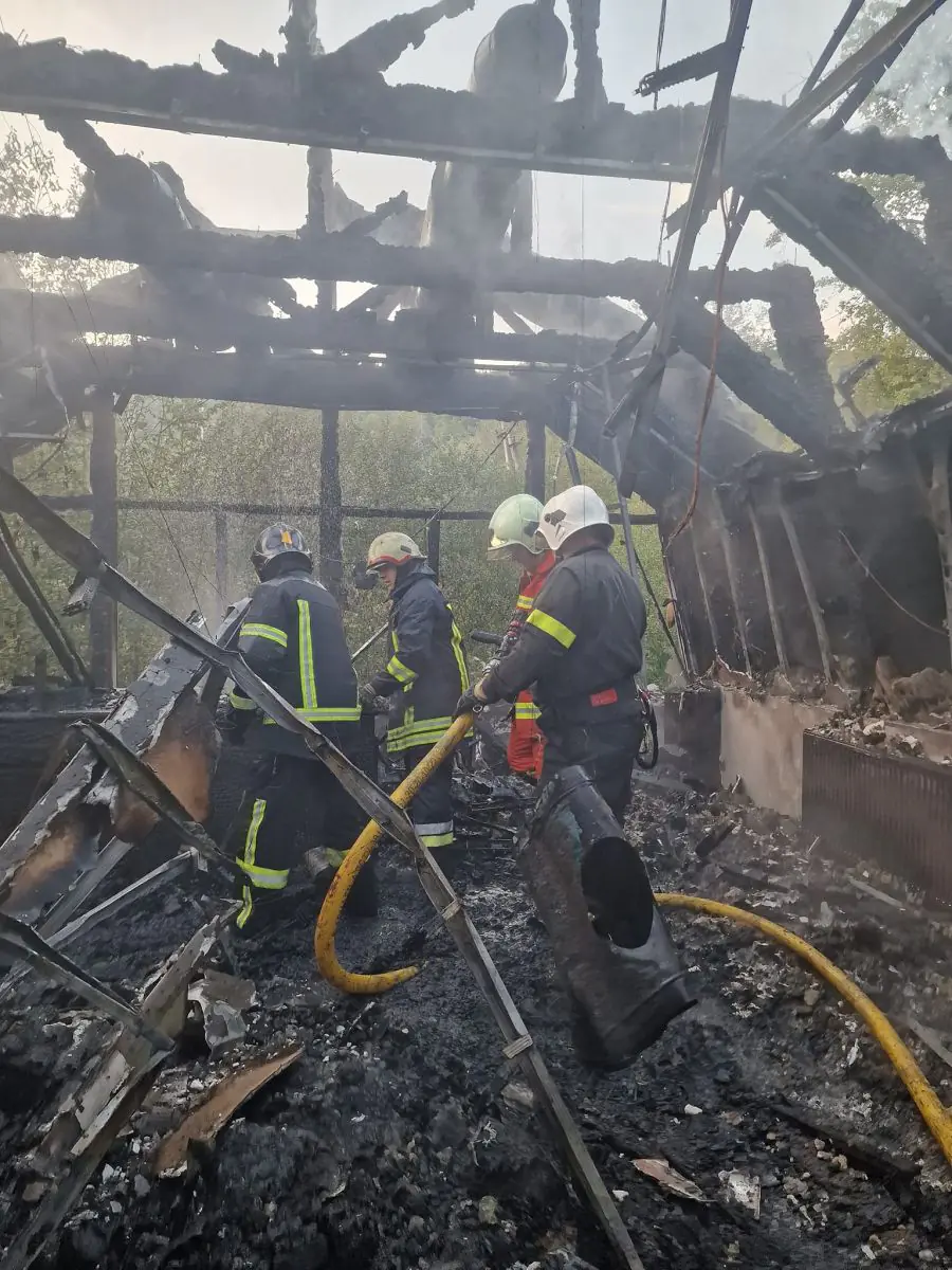  Постраждалих немає: рятувальники ліквідували пожежу на площі 500 кв.м на території санаторію у Синяку 7