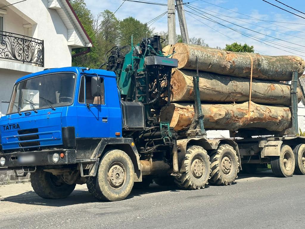  Транспортували нелегальну лісопродукцію: на Закарпатті поліція затримала дві вантажівки 0