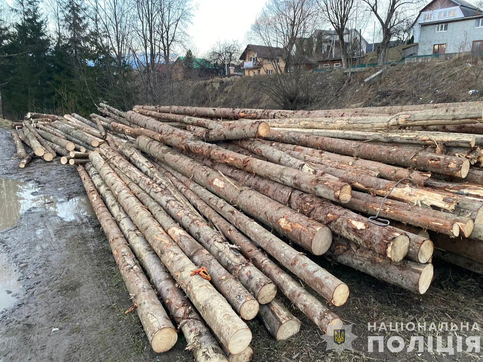  На Рахівщині поліція зафіксувала злочин проти довкілля: вилучено понад 40 кубометрів нелегальної деревини 1