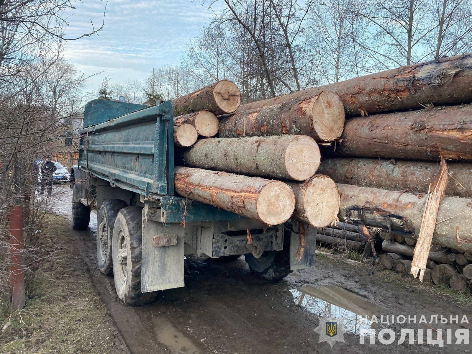  На Рахівщині поліція зафіксувала злочин проти довкілля: вилучено понад 40 кубометрів нелегальної деревини 0