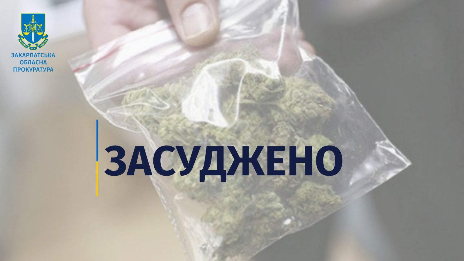  За збут наркотиків у Мукачеві місцевого жителя засудили до 6 років за ґратами 0