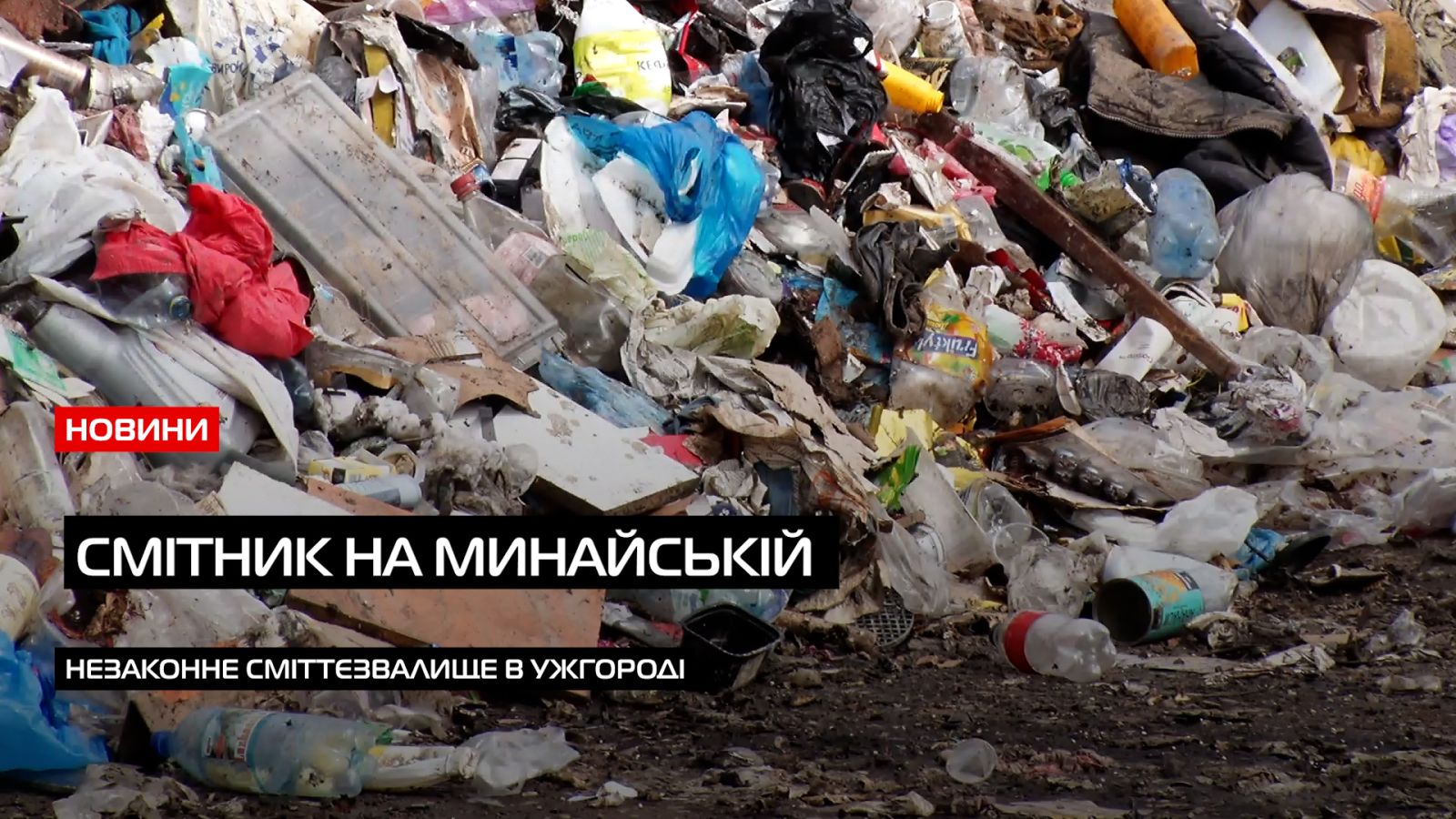 Самостійне сміттєзвалище: ужгородці викидають відходи на приватну територію Минайської (ВІДЕО)0