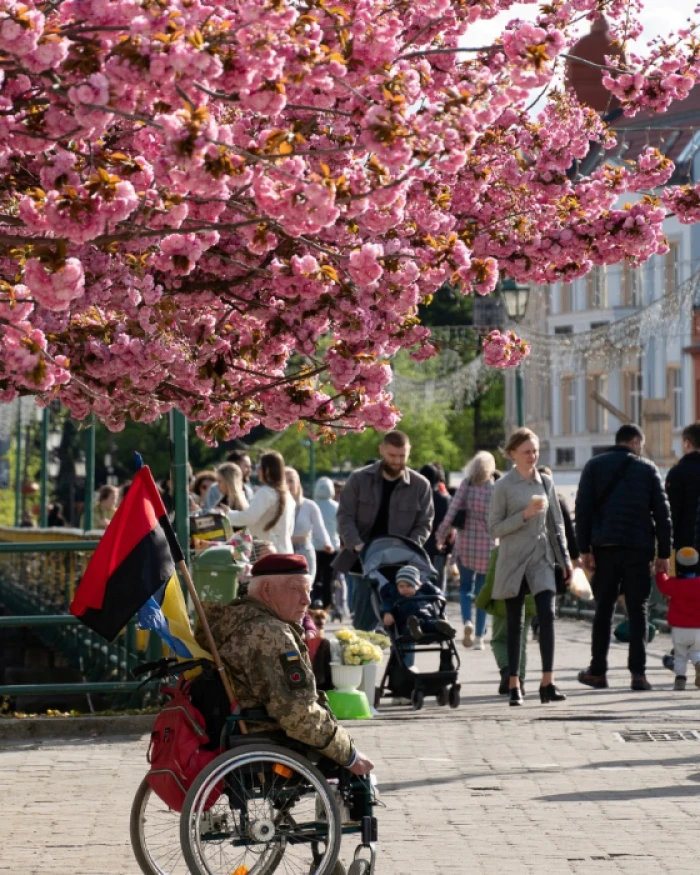 Вулиці Ужгорода потонули в цвітінні сакур
