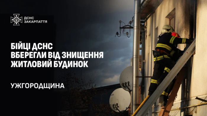 У селі Великі Геївці через сірник та спіраль для комах ледь не згорів будинок