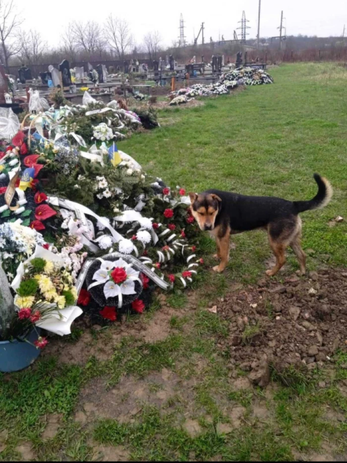 «Я б дуже хотіла, щоб він мені приснився…», – матір полеглого воїна зі Свалявщини Івана Яника