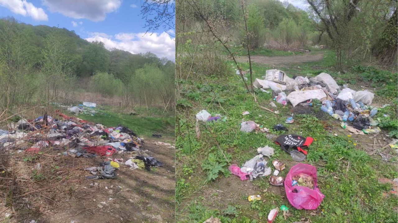 Засмічення довкілля у Сваляві