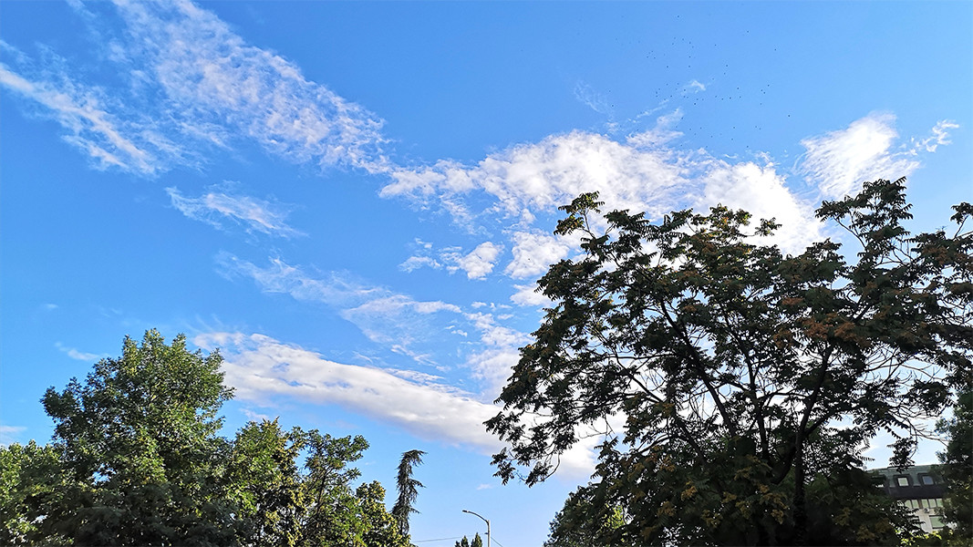 Грози та потепління: цього тижня на Закарпатті синоптики прогнозують до +22°С0