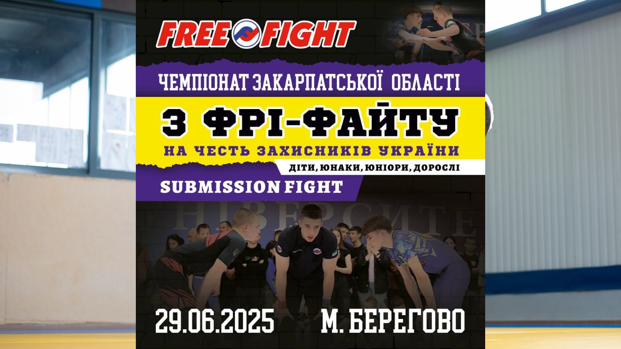 Фрі-файт у Берегові - чемпіонат