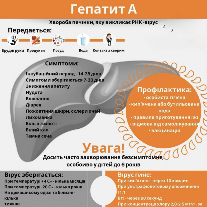 Гепатит А: як передається, симптоми та профілактика1
