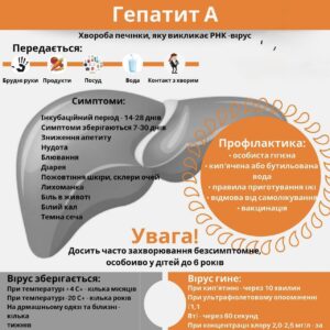 Гепатит А: як передається, симптоми та профілактика0