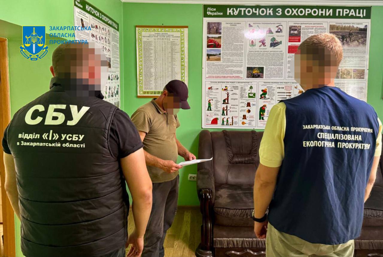 На Закарпатті викрито майстра лісу, який допустив незаконну вирубку дубів на 5,2 мільйона гривень0