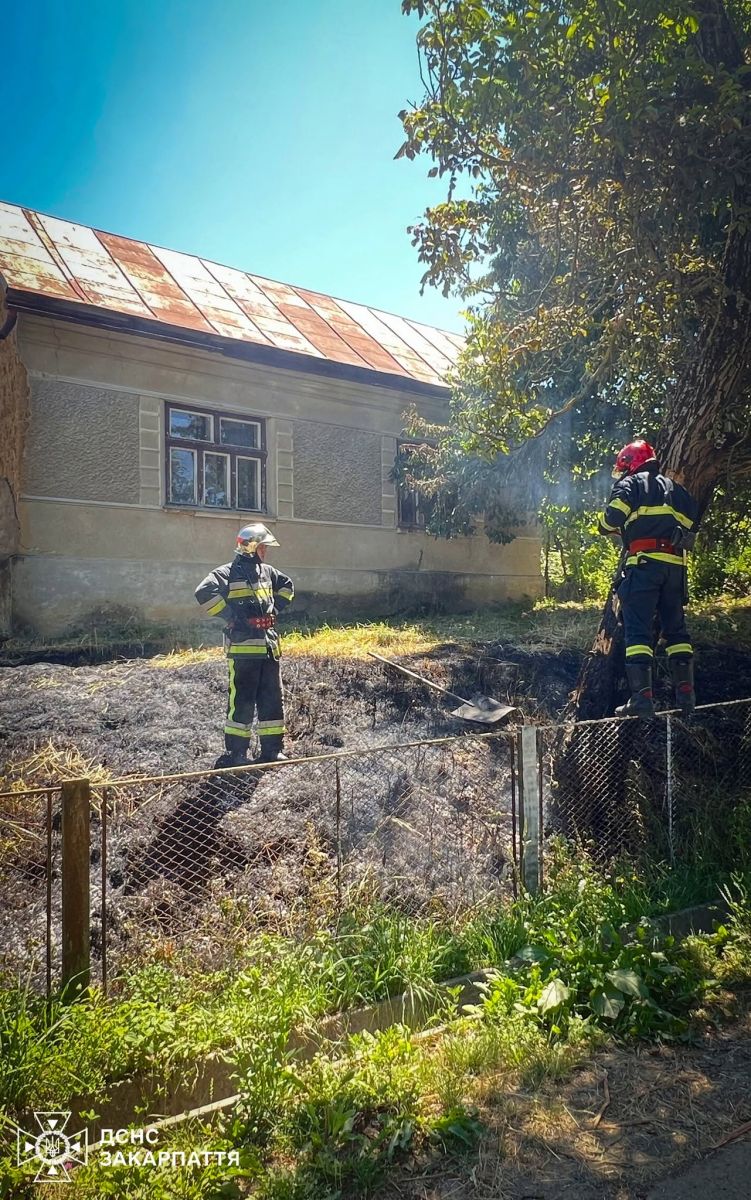Рятувальники ліквідували загоряння сухотрав’я та дерева на території приватного дворогосподарства0