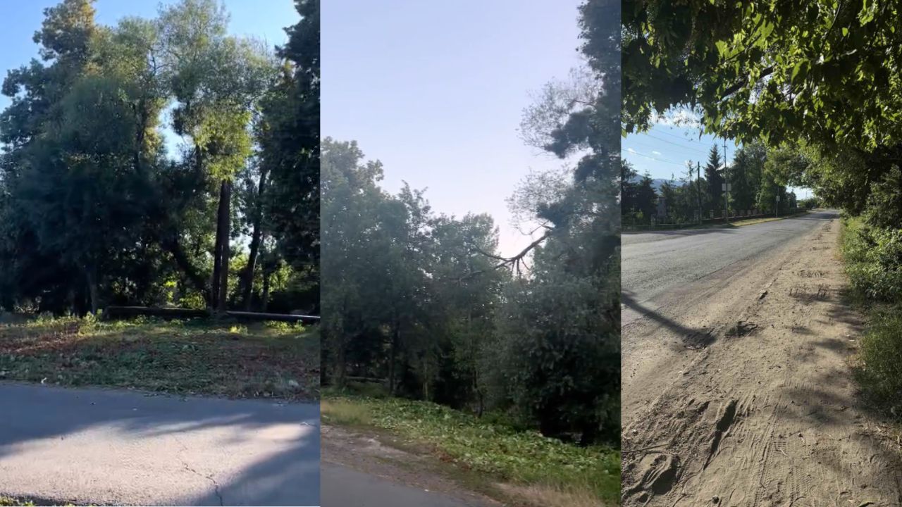 Свалявці покосили узбіччя