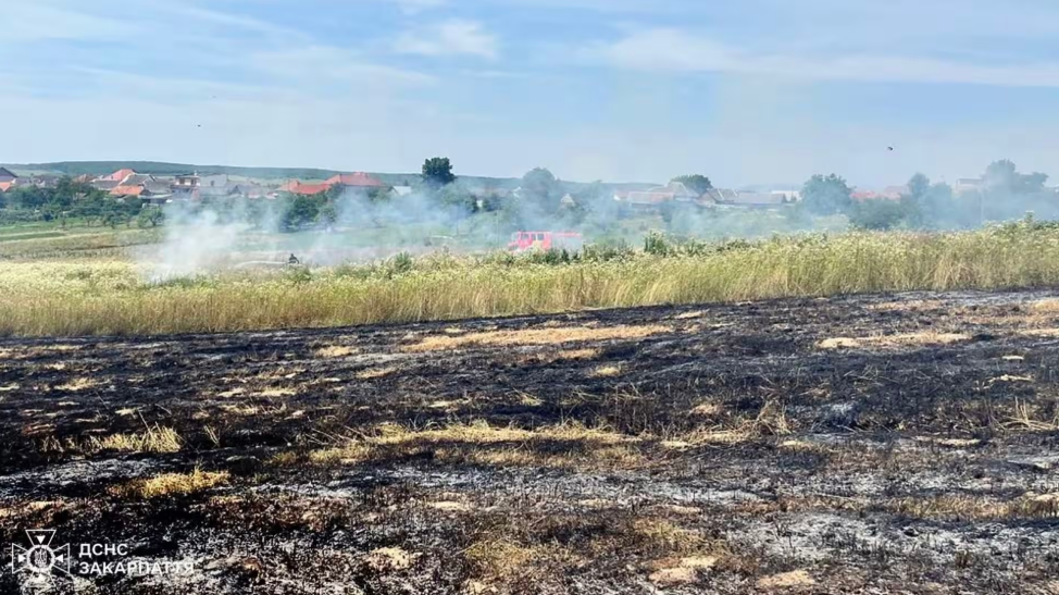Вчора на Закарпатті пожежі знищили понад 7 га сухої трави та чагарників0