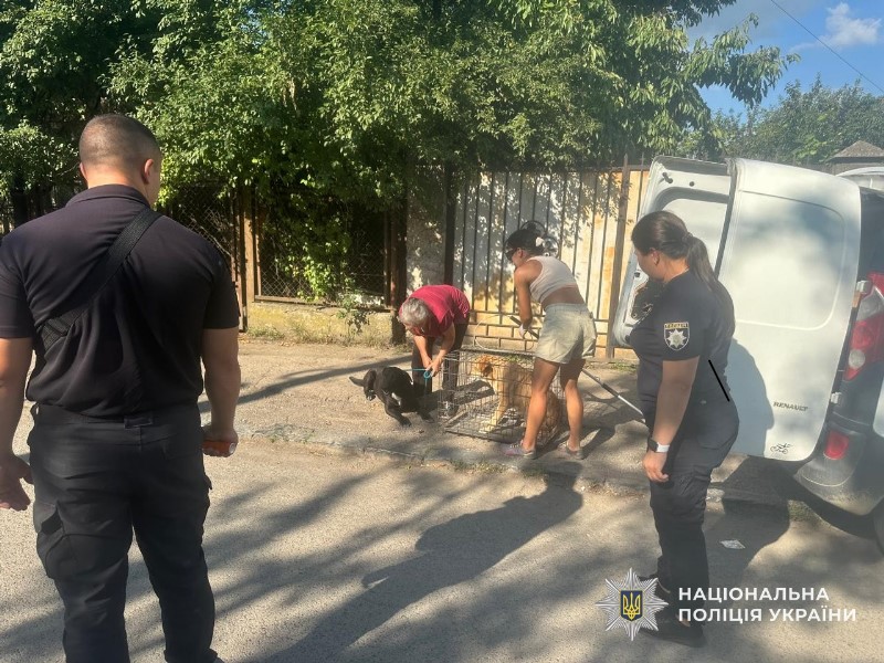 Поліція встановила власницю собак, які нападали на людей в Ужгороді0