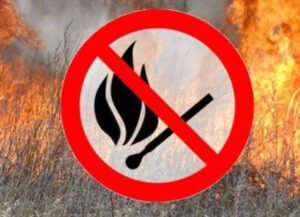 Робочі заходи з протипожежного захисту місць збирання та зберігання врожаю у 2025 роц0