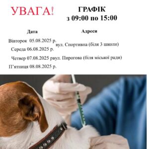 У Хусті проводитимуть безкоштовну вакцинацію домашніх тварин проти сказу0