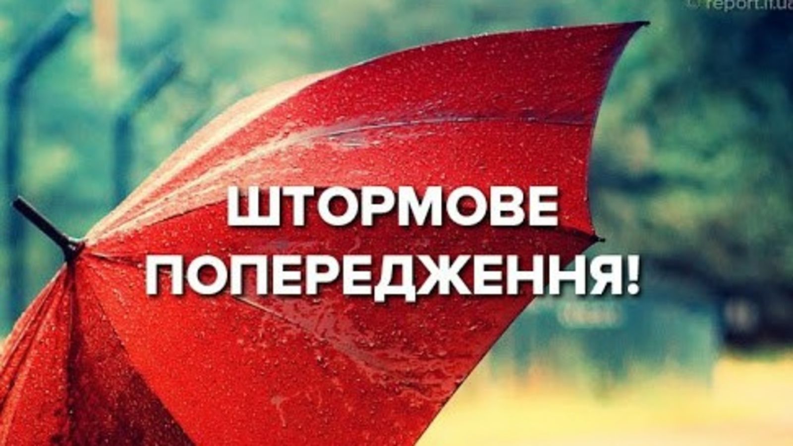 Грози та шквалистий вітер: на Закарпатті оголосили штормове попередження0