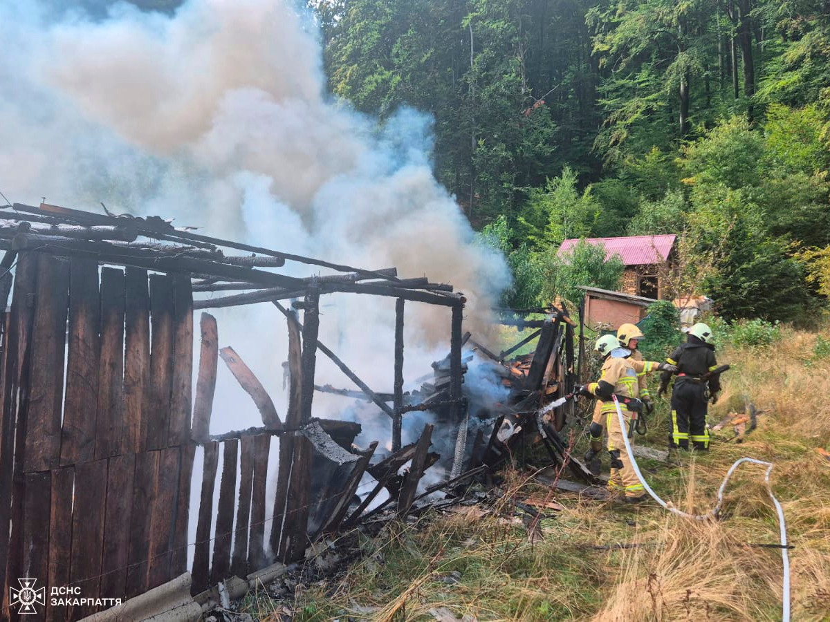 У селищі Чинадійово рятувальники запобігли поширення вогню на житловий будинок0