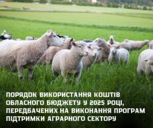 До уваги аграріїв Хустської громади: розпочато прийом документів на фінансову підтримку з обласного бюджету у галузі тваринництва та переробки сільськогосподарської0