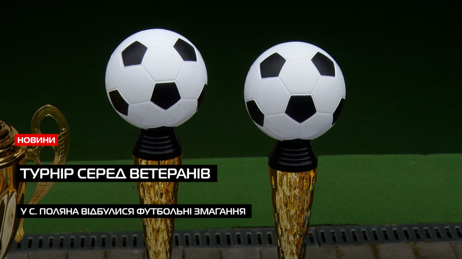 Дружня гра: у Полянській ТГ відбувся футбольний турнір серед ветеранів та військових (ВІДЕО)0
