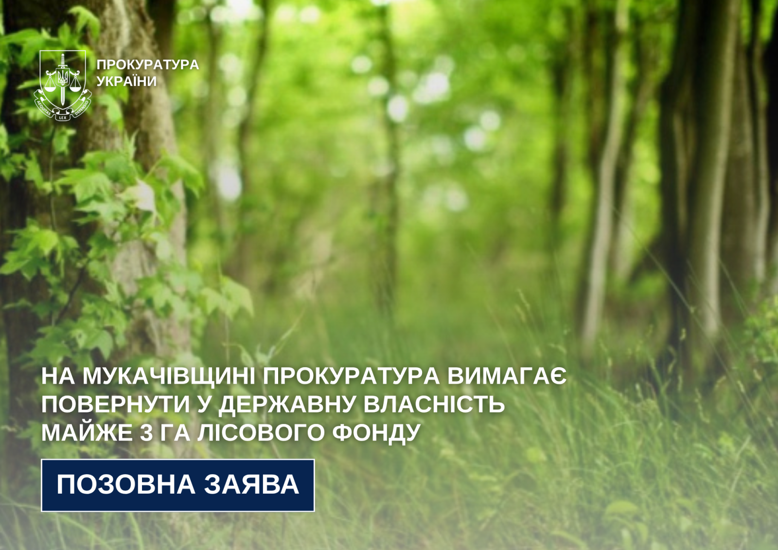 На Мукачівщині прокуратура вимагає повернути у державну власність майже 3 га лісового фонду0