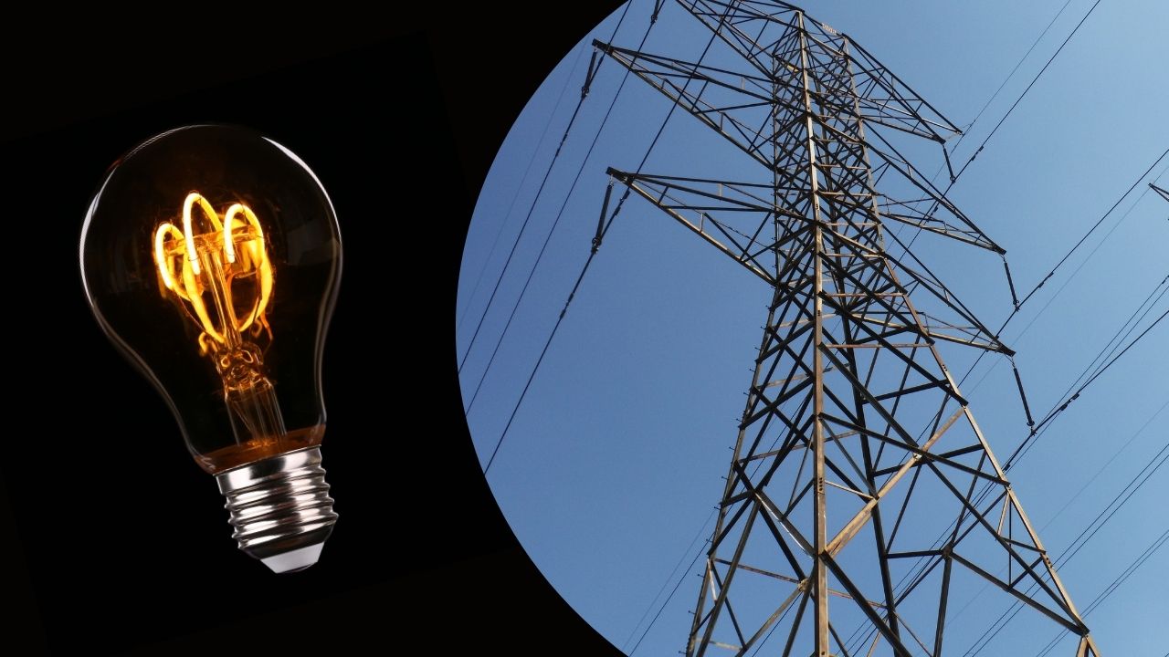 Світло у Пасіці, Поляні