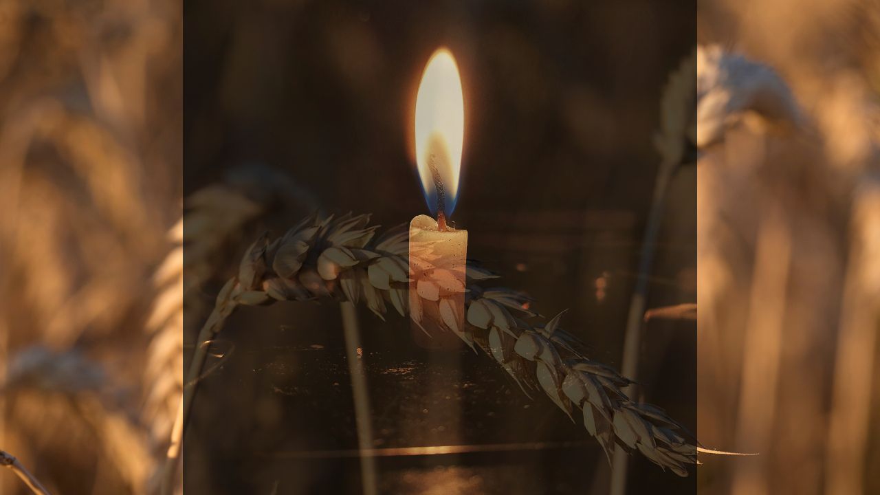 Пам'ять жертв голодоморів