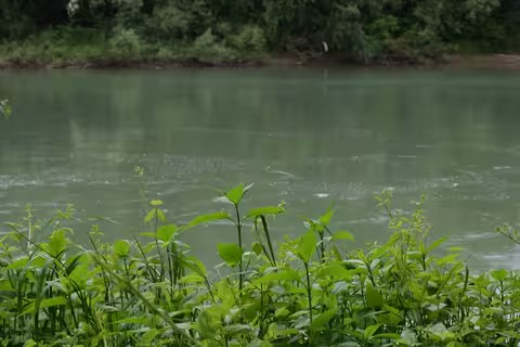 На Мукачівщині у річці Латориця виявили тіло невідомого чоловіка0