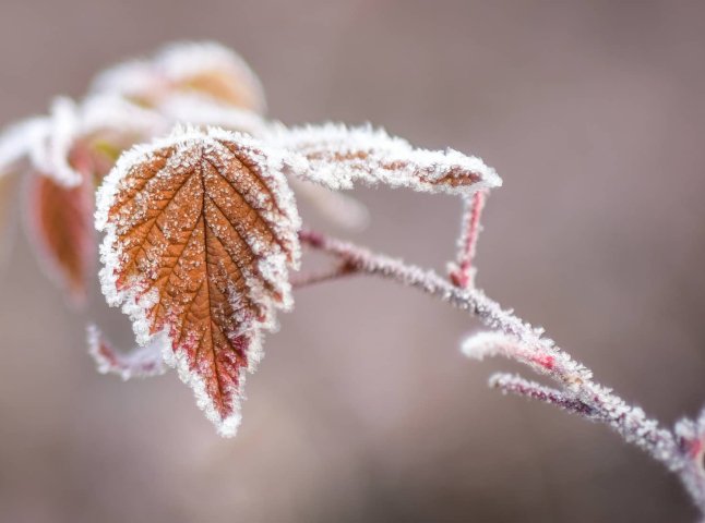 Насуваються морози: коли зміниться погода та можливий мокрий сніг на Закарпатті0