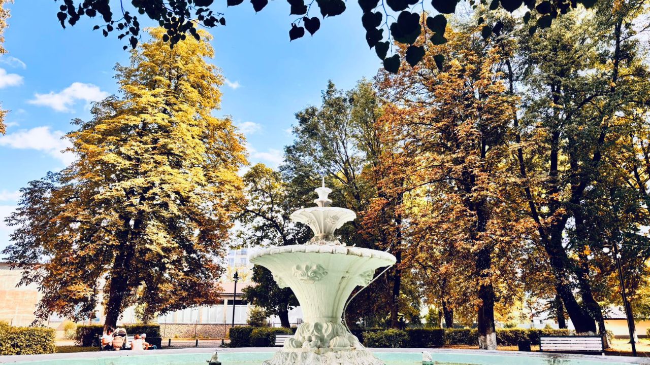 Свалявський парк