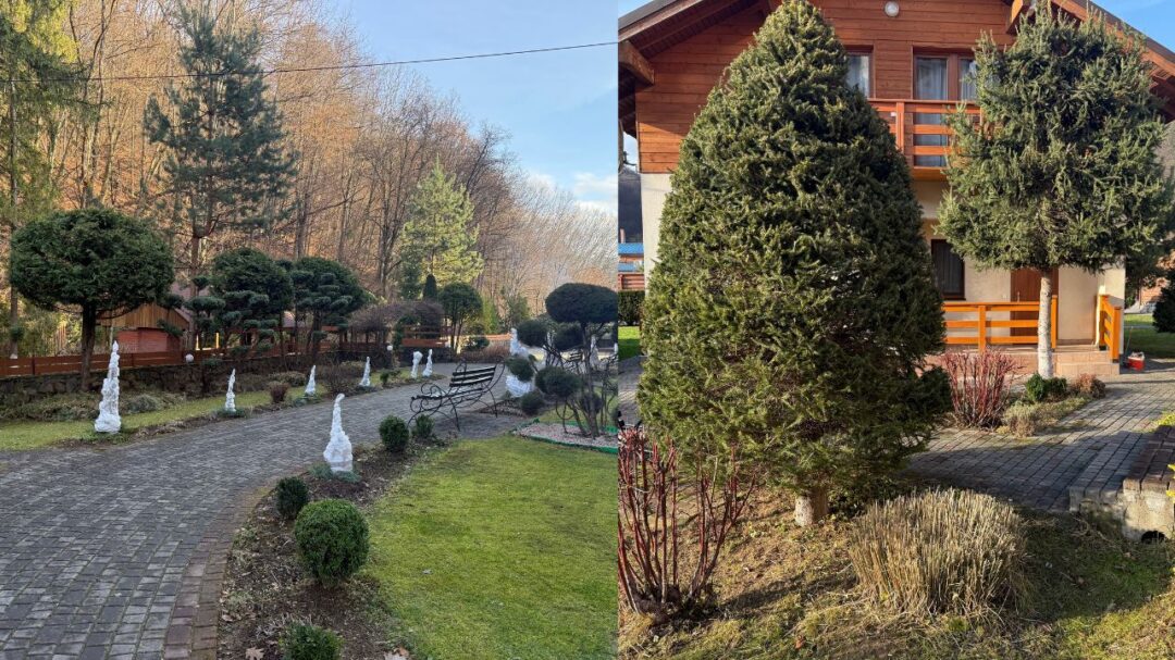 Ландшафтний дизайн