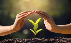 Закон України «Про державне регулювання сфери захисту рослин»0