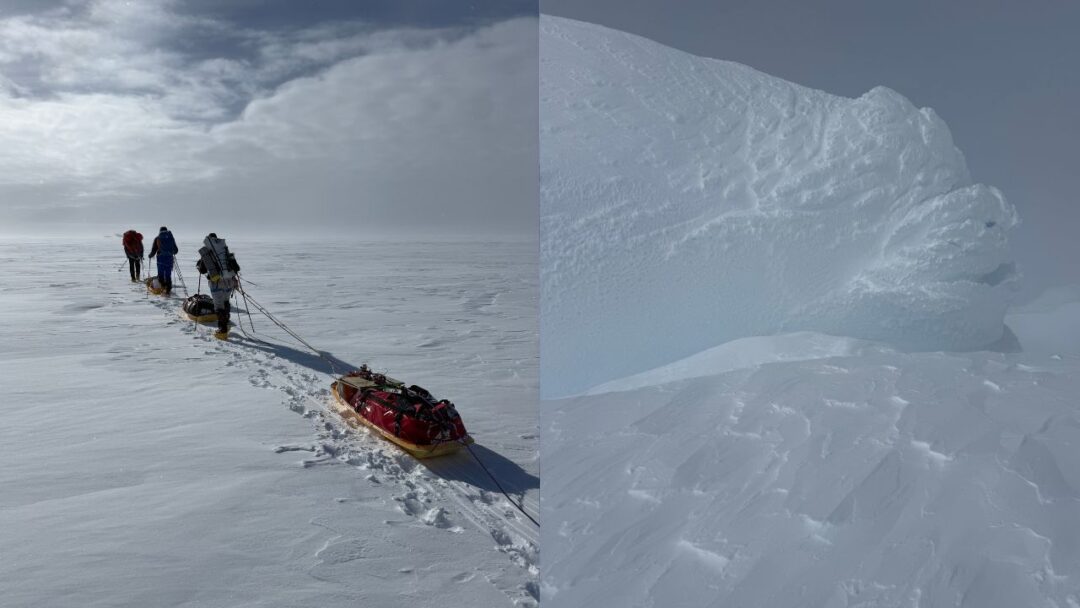 Антарктида