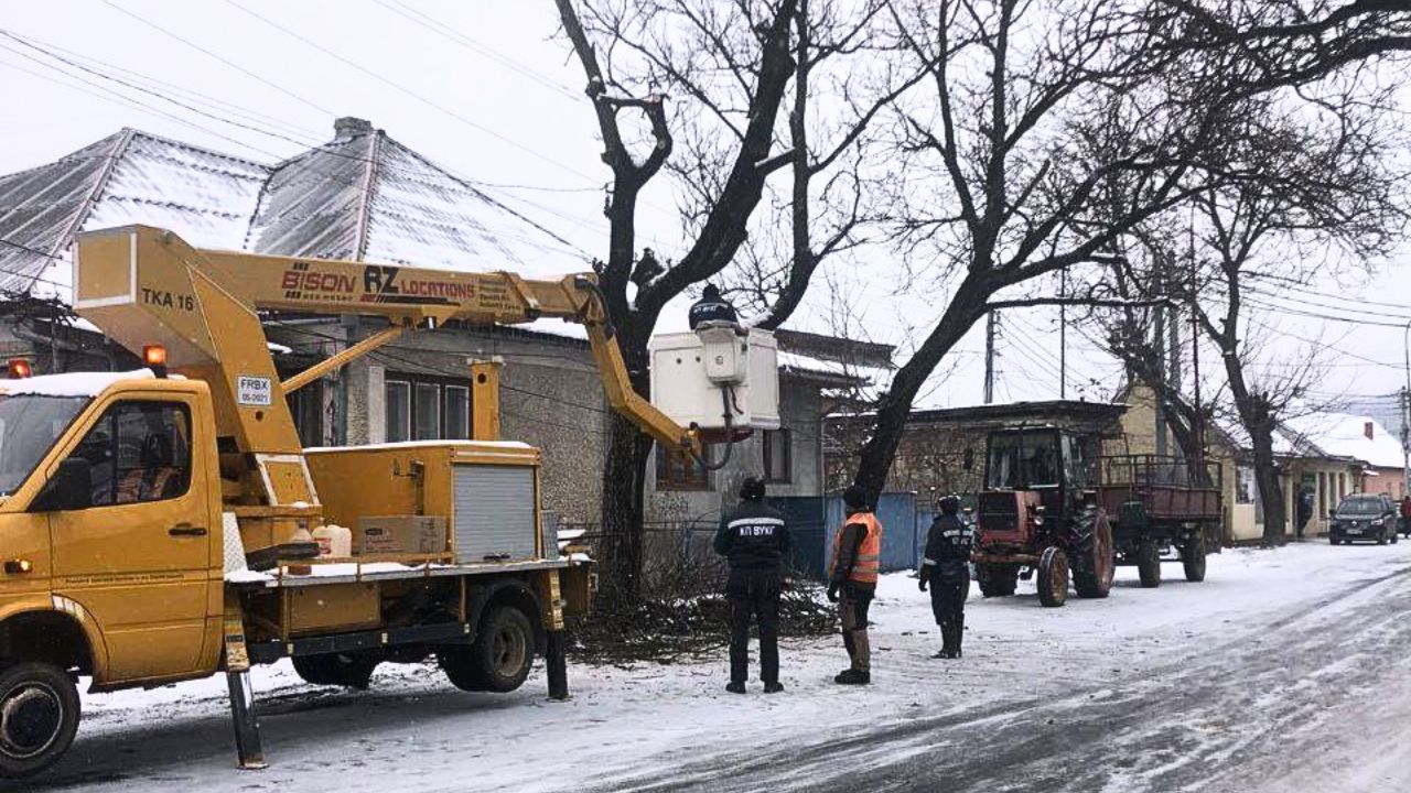 Зрізання дерев у Сваляві