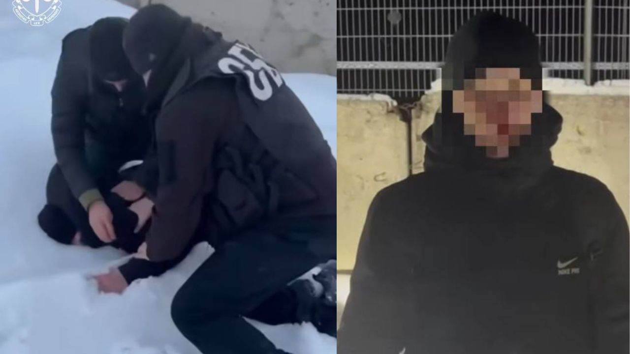 Колаборанти