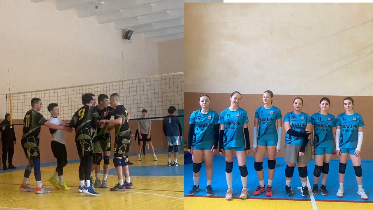 Волейбольний матч