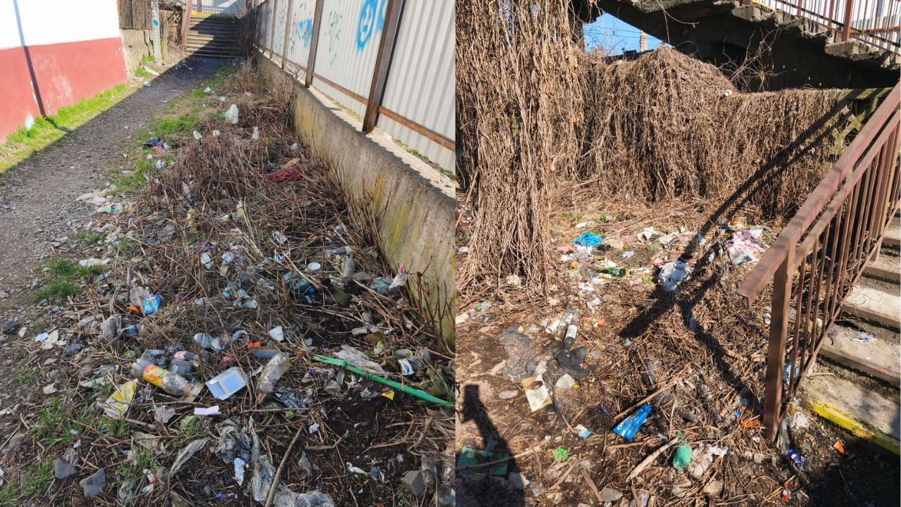 Сміття біля залізниці у Сваляві