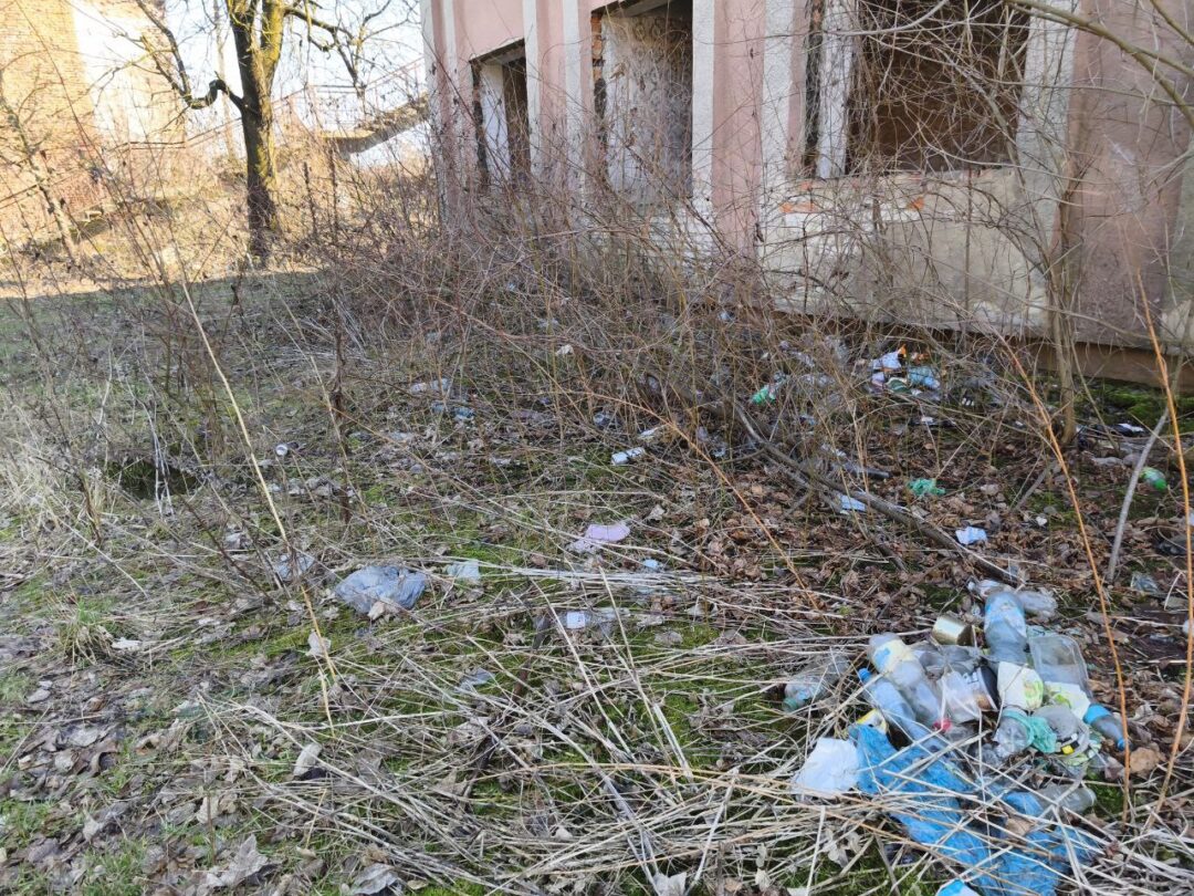 Сміття біля залізниці у Сваляві