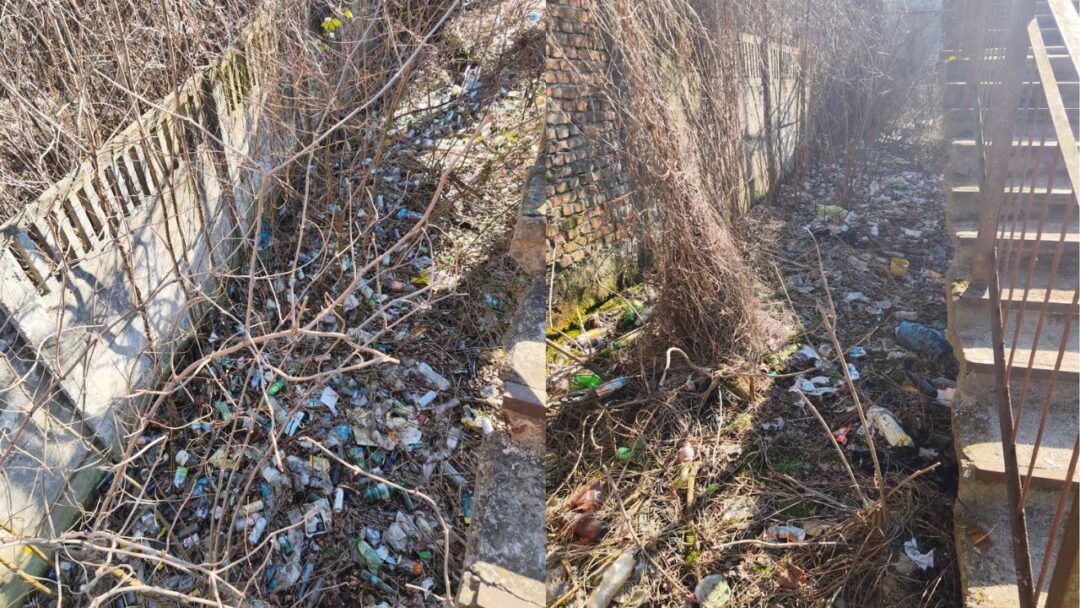 Сміття у Сваляві біля залізниці