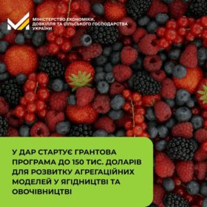 У ДАР стартує грантова програма до $150 тис. для розвитку агрегаційних моделей у ягідництві та овочівництві1