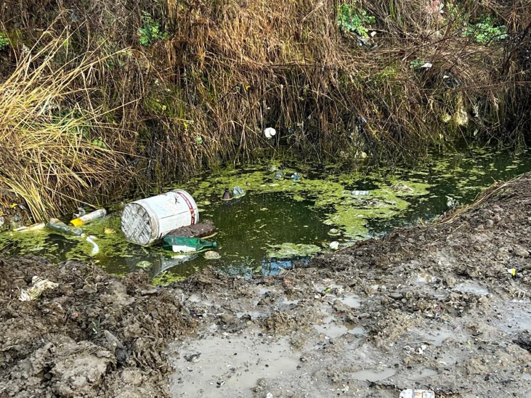 Сміттєзвалище у Сваляві