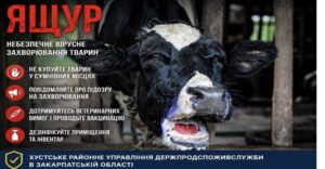 Що потрібно знати про небезпечну хворобу тварин1