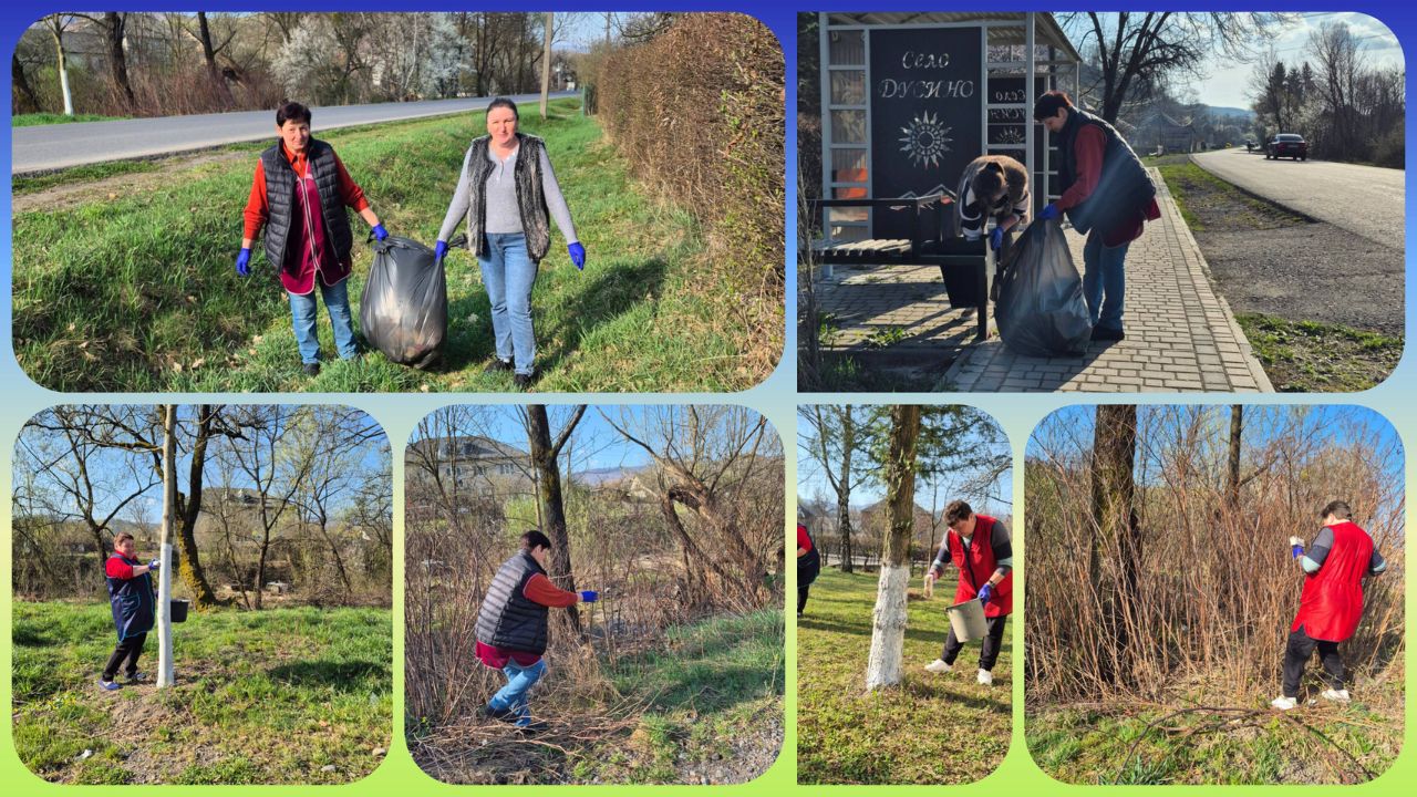 Прибирання у Дусині