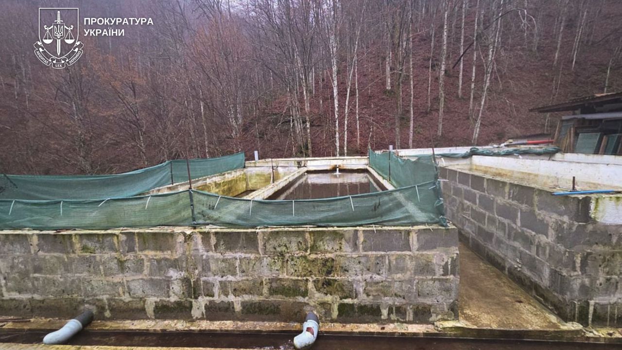Незаконне рибне господарство у Березниках