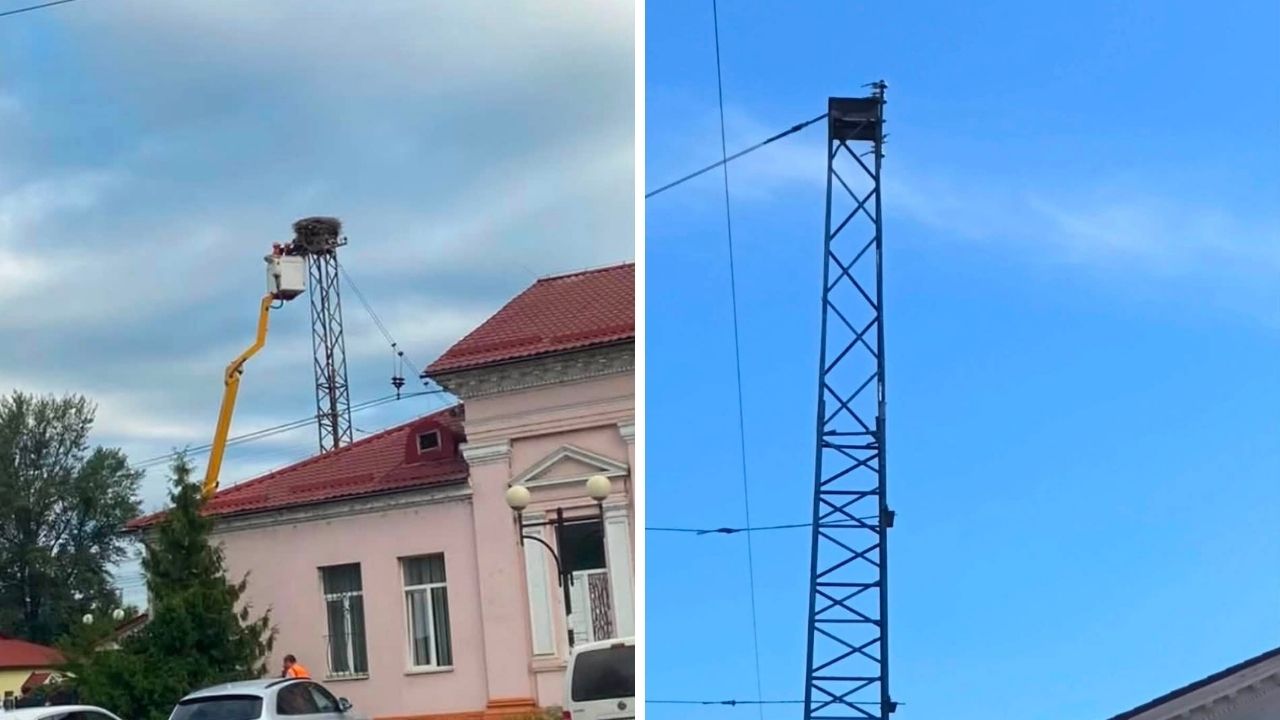 Демонтаж гнізда з лелеками на залізничній станції у Сваляві
