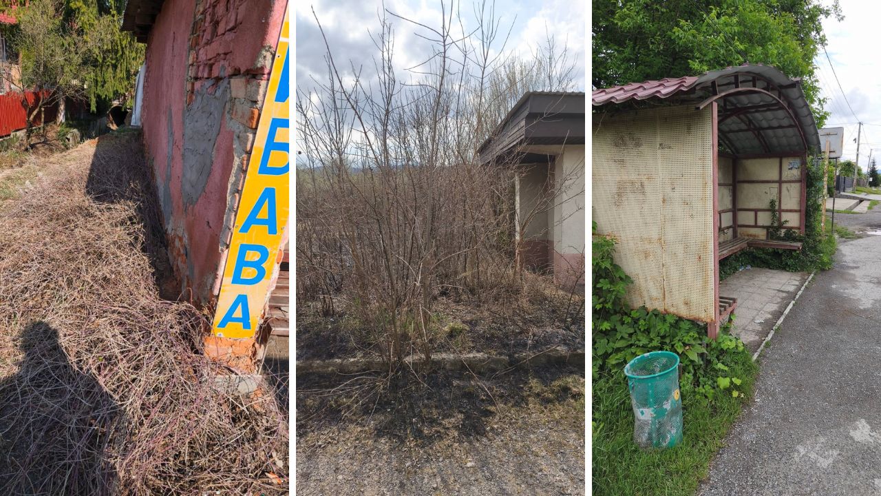 Автобусні зупинки у Свалявській ТГ