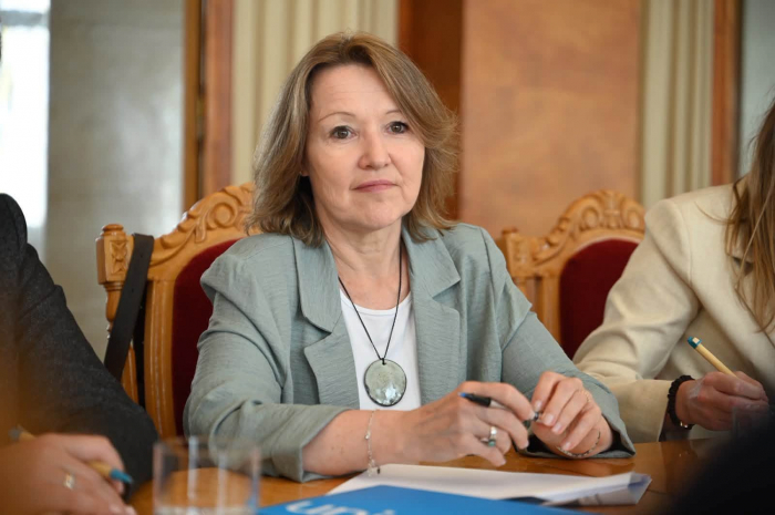 Керівник Закарпаття зустрівся з очільницею Представництва ЮНІСЕФ в Україні2
